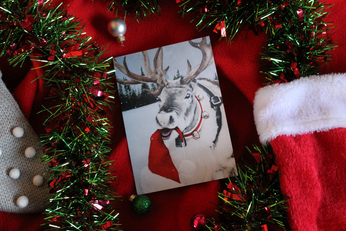 Christmas Post Cards 5"X 7"- Set of 20
